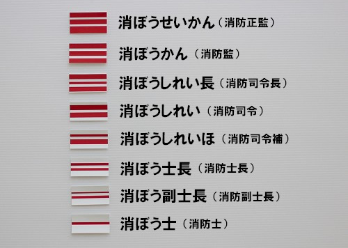 写真：階級線