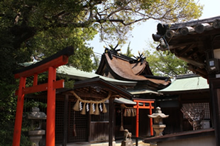 写真3：淡嶋神社