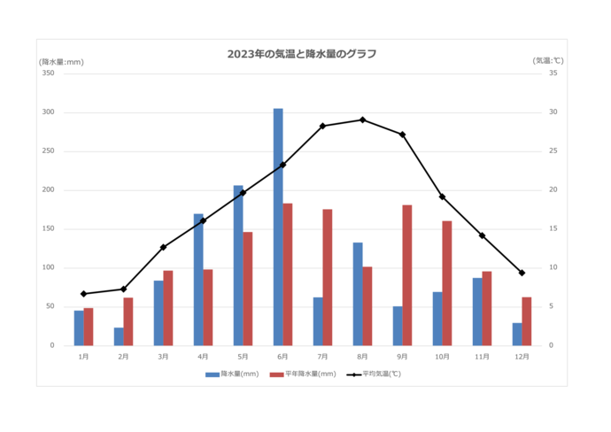 2023年1月から12月の気温と降水量のグラフ