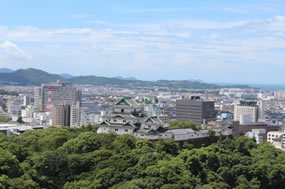 写真：和風総本家の撮影4