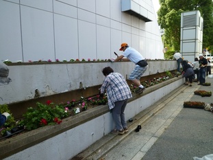 植え替え