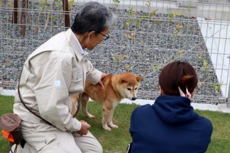 わがまち和歌山