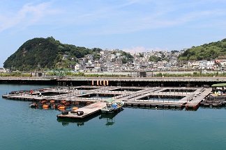 わがまち和歌山　海上釣堀「雑賀崎シーパーク」