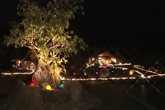 わがまち和歌山　四季の郷公園