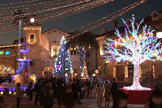 わがまち和歌山　フェスタルーチェ in 和歌山マリーナシティ