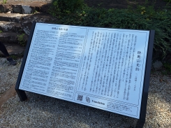 解説版