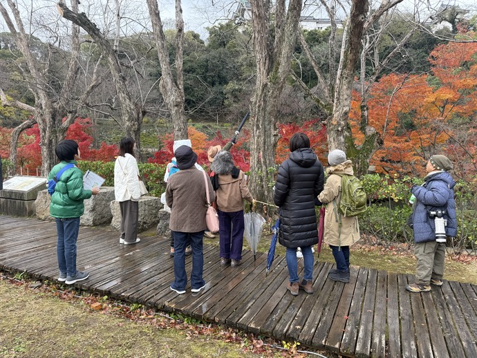 令和6年度12月開催自然観察会