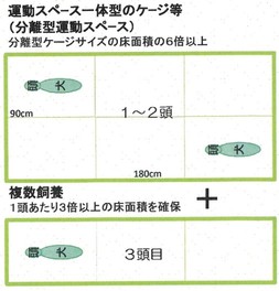 一体型2