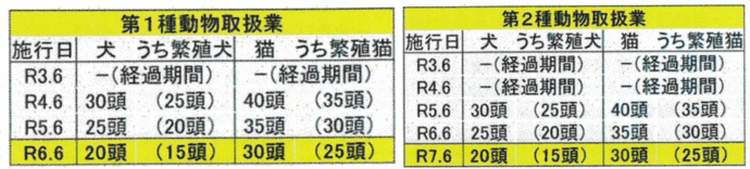 経過措置