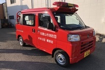 木本1