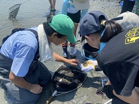 観察中の平嶋先生と子どもたちの写真