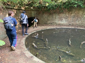 ウォークラリーの様子