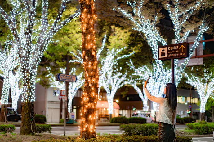 KEYAKI LIGHT PARADE by FeStA Luce