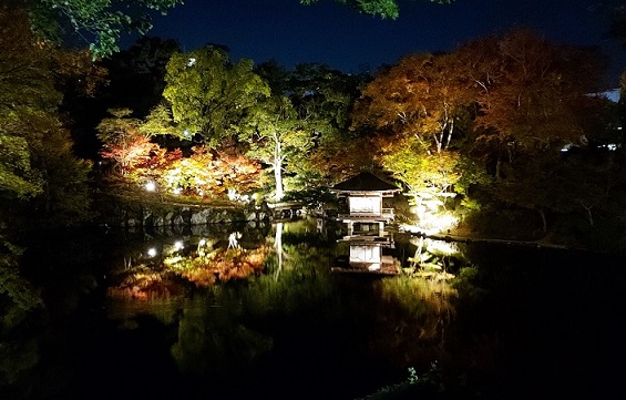 名勝 西之丸庭園ライトアップ