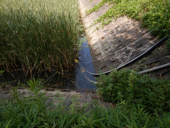 水の確保
