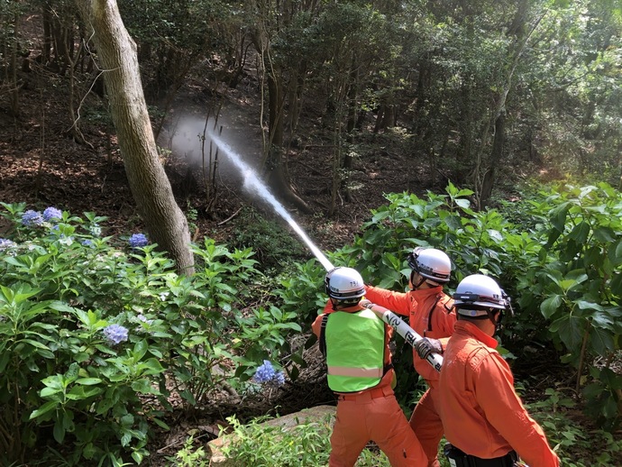 放水活動
