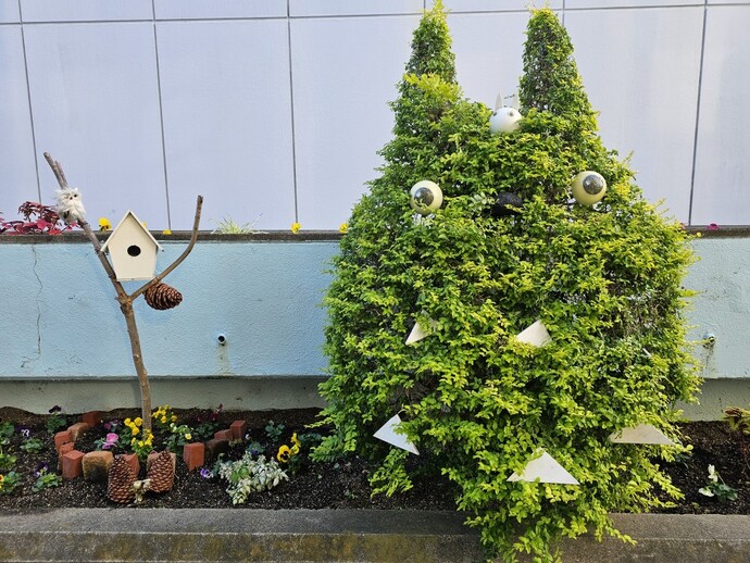 写真5