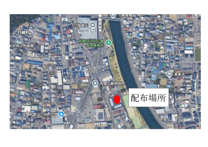 配布場所
